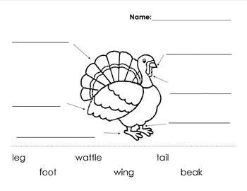 Preview of Label a Turkey (Editable)