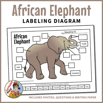 Preview of Elephant Labeling Diagram - Parts of an Elephant Worksheet, African Zoo Animals