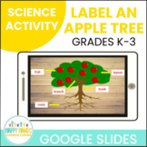 Label an Apple Tree a Digital Science Activity for Google Slides