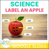 Label an Apple a Science Activity for Google Slides