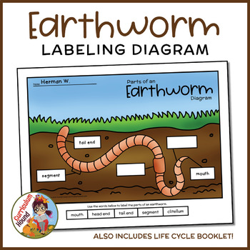 Preview of Earthworm Labeling Diagram - Parts of a Worm Worksheet + Life Cycle Booklet