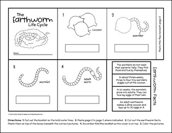 Earthworm Labeling Diagram - Parts of a Worm Worksheet + Life