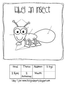 Label an Insect by Mrs Tyler's Art Room | Teachers Pay Teachers