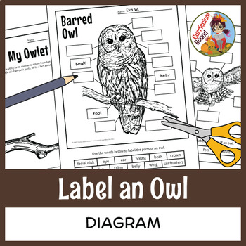 Preview of Owl Labeling Diagram - Parts of a Bird Worksheet + Drawing & Writing Prompt