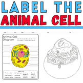 Label the Animal Cell: Biology Coloring Activity: End of T