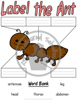 Label the Ant Cut and Paste Worksheets by The Treasured Schoolhouse