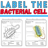 Label the Bacterial Cell: Microbiology Coloring Activity: 