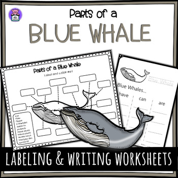 Preview of Label the Blue Whale Parts of a Blue Whale Anatomy Worksheet - Sea Life