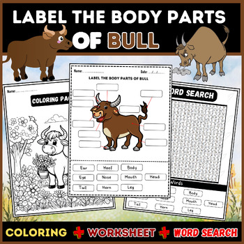 Preview of Label the Body Parts of a Bull: Word Search, Labeling, Worksheet, Coloring Pages