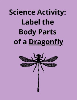 Preview of Label the Body Parts of a Dragonfly - Science or Word Writing Practice Activity