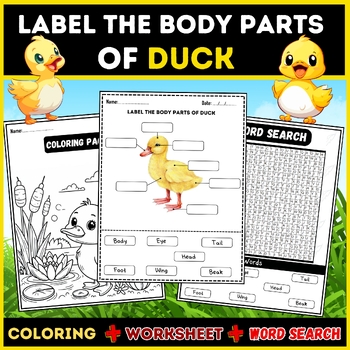 Preview of Label the Body Parts of a Duck: Word Search, Labeling, Worksheet, Coloring Page