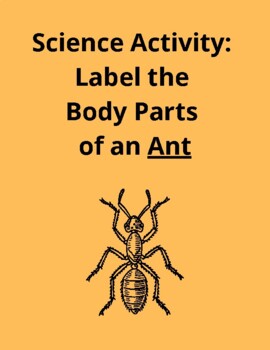 Preview of Label the Body Parts of an Ant - Science or Word Writing Practice Activity