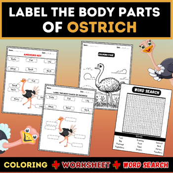 Preview of Label the Body Parts of an Ostrich: Activities and Coloring Pages