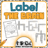 Label the Brain