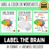 Label the Brain Worksheet (Anatomy) Coloring Page