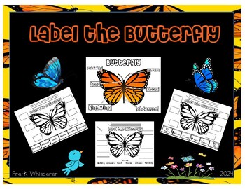 Preview of Label the Butterfly