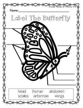 Butterfly Label It By Kinder Garden Of Literacy Tpt