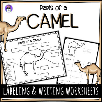 Label the Camel Parts of a Camel (Dromedary) Worksheet - Writing and ...