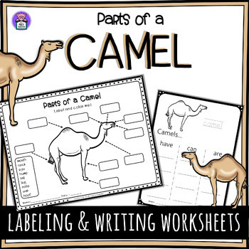 Preview of Label the Camel Parts of a Camel (Dromedary) Worksheet - Writing and Labeling