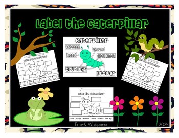 Preview of Label the Caterpillar