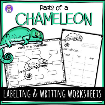 Preview of Label the Chameleon Parts of a Chameleon Worksheet -Writing and Labeling Diagram