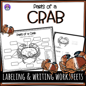 Preview of Label the Crab Parts of a Crab Worksheet - Writing and Labeling Diagram