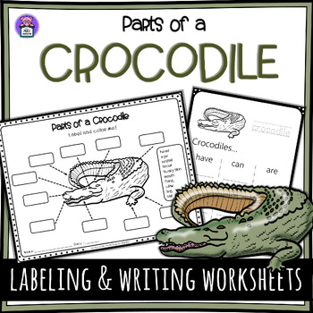 Preview of Label the Crocodile Parts of a Crocodile Worksheet -Writing and Labeling Diagram
