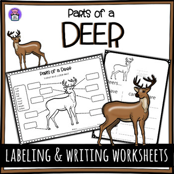 Label the Deer Parts of a Deer Worksheet - Writing and Labeling Diagram