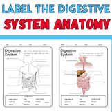 Label the Digestive System: Anatomy Coloring Activity : Ju