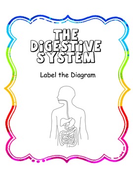 Preview of Label the Digestive System Diagram