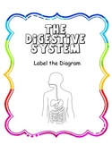 Label the Digestive System Diagram