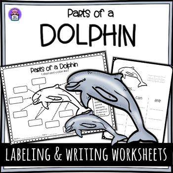 Label the Dolphin Parts of a Dolphin Worksheet - Writing and Labeling ...