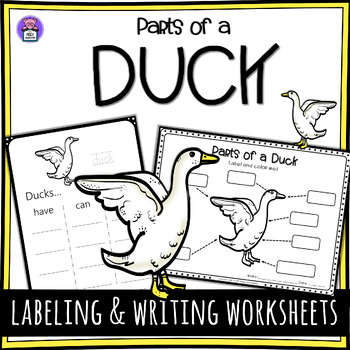 Preview of Label the Duck Parts of a Duck Worksheet - Writing and Labeling Diagram