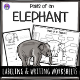 Label the Elephant Parts of an Elephant Worksheet - Writin