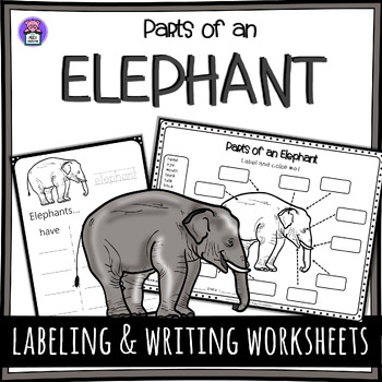 Preview of Label the Elephant Parts of an Elephant Worksheet - Writing and Labeling Diagram
