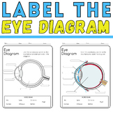 Label the Eye Diagram: Ocular Anatomy Coloring Activity En