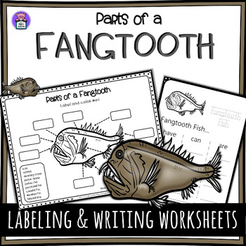 Preview of Label the Fangtooth Parts of a Fangtooth Fish Anatomy Worksheet
