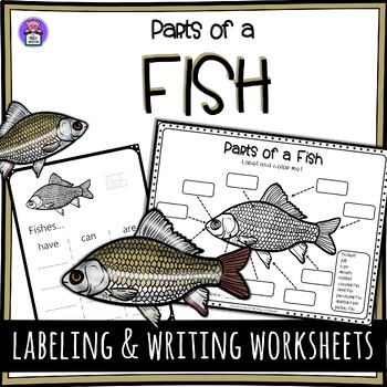 Preview of Label the Fish Parts of a Fish Worksheet - Writing and Labeling Diagram