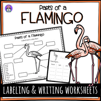 Preview of Label the Flamingo Parts of a Flamingo Worksheet - Writing and Labeling Diagram