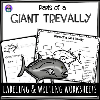 Preview of Label the Giant Trevally Parts of a Giant Trevally Fish Anatomy Worksheet
