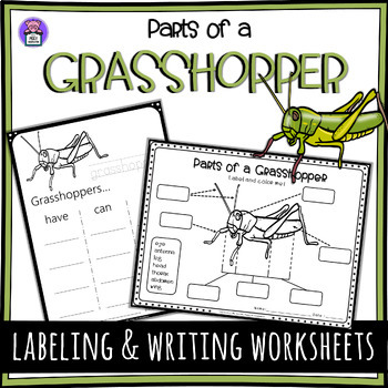 Preview of Label the Grasshopper Parts of a Grasshopper Worksheet - Writing and Labeling