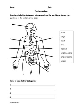 Label the Human Body by MaryLou Breedlove | Teachers Pay Teachers