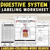 Label the Human Digestive System Anatomy: September Activi