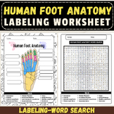 Label the Human Foot Anatomy: Back to School Labeling Work