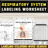 Label the Human Respiratory System Anatomy: End of The yea