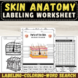 Label the Human Skin Anatomy: End of The year Activities &