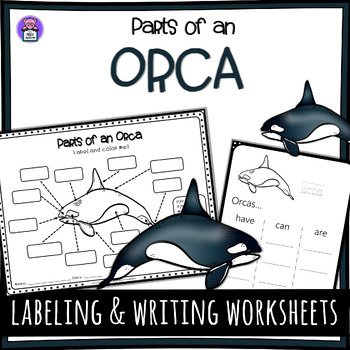 Preview of Label the Orca Parts of an Orca Worksheet - Writing and Labeling Diagram
