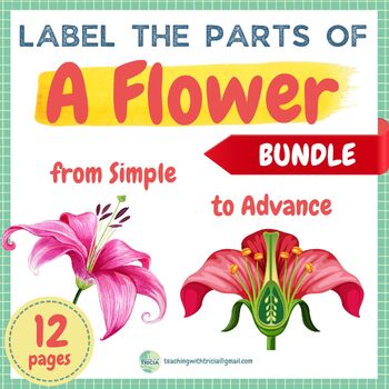 Preview of Label the Parts of A Flower - From Simple to Advanced: Posters & Worksheets