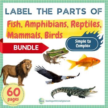 Preview of Label the Parts of Animals BUNDLE - Fish, Reptile, Amphibian, Mammal, Bird