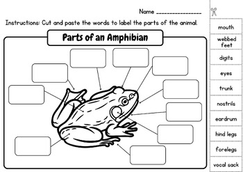 Label the Parts of Animals- Higher Level: Fish, Reptile, Amphibian ...